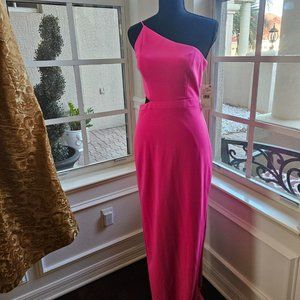 Aidon Mattox bring pink maxi dress (size 6)